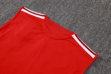 26-27 Internacional Training Soccer Vest album image 14
