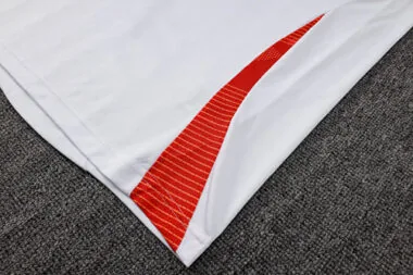 25-26 Internacional Polo tracksuit album image 9