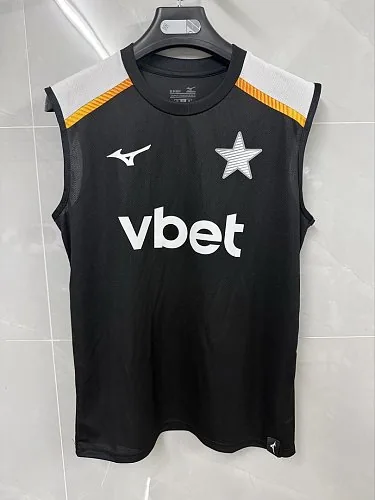2026/27 Botafogo Training Jersey album cover