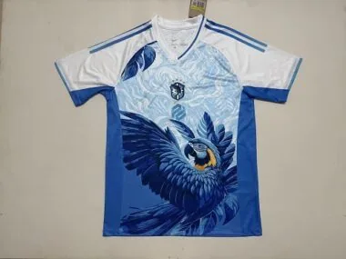 2026/27 Brazil Jersey