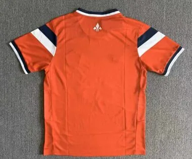 Afbeelding 2 van album Thuisshirt van Lille voor het seizoen 2026/27
