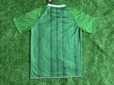 Imagem 2 do álbum Camisola de treino do Real Betis 2026/27