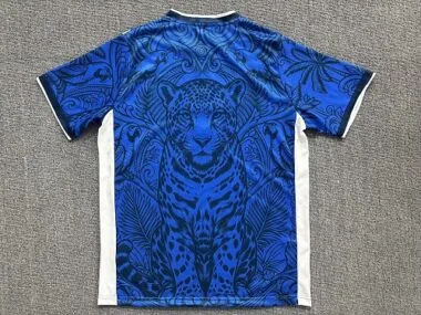 Immagine 2 dell’album Maglia edizione speciale Brasile 2026/27